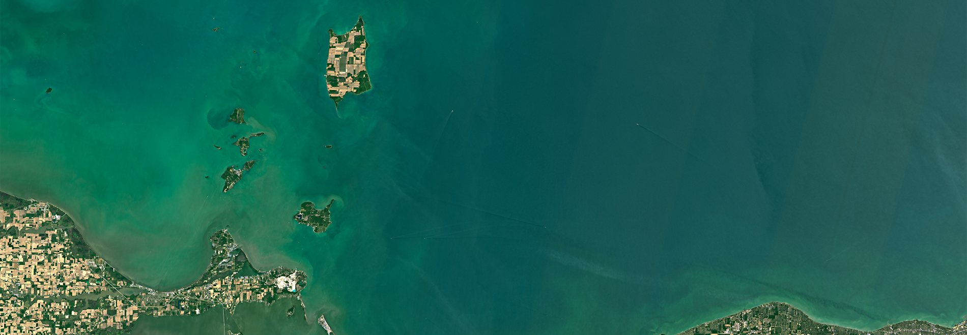 Algal blooms in Lake Erie. Source:    USGS/NASA Landsat
