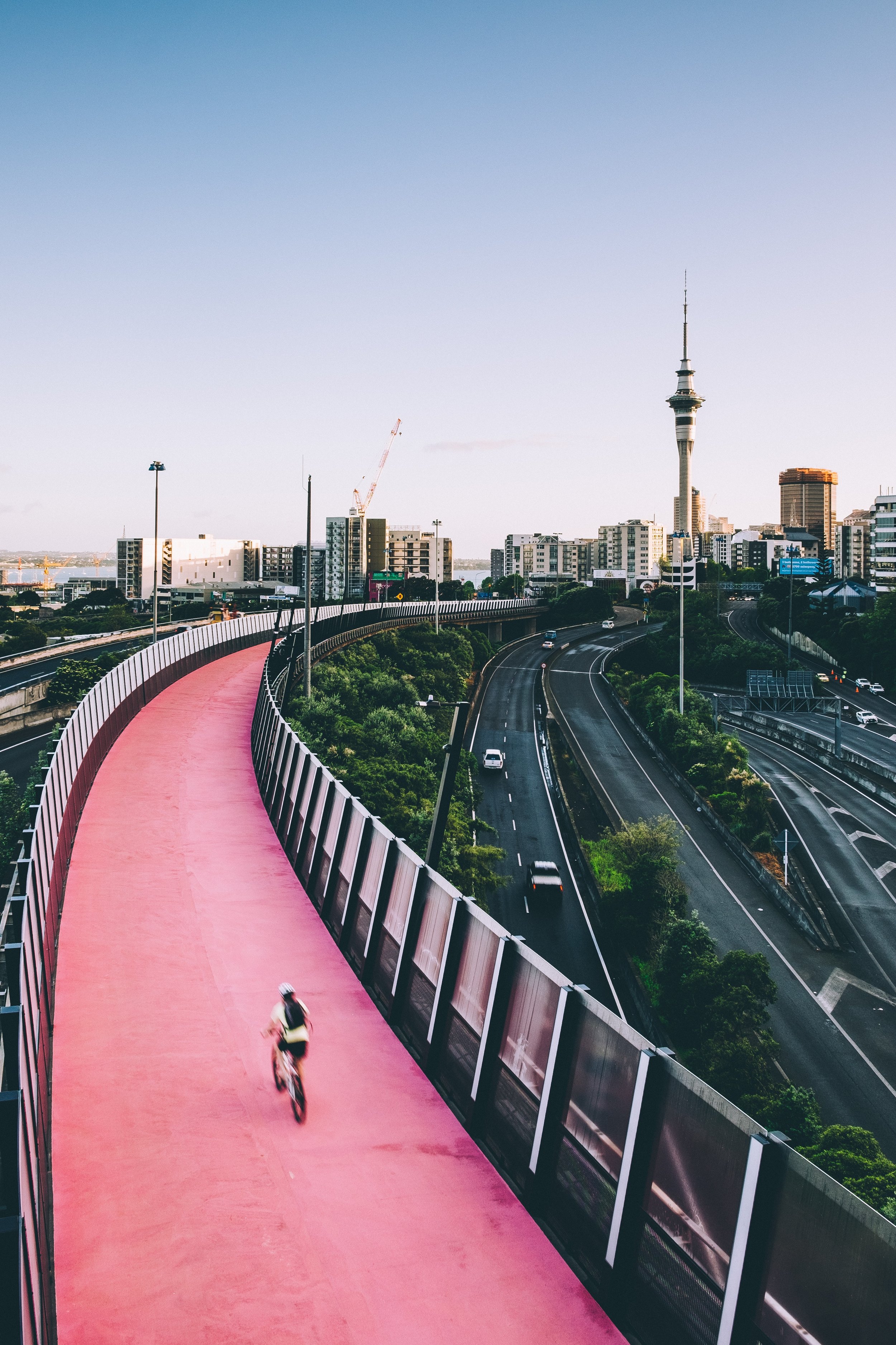 Source   : Dan Freeman via Unsplash.