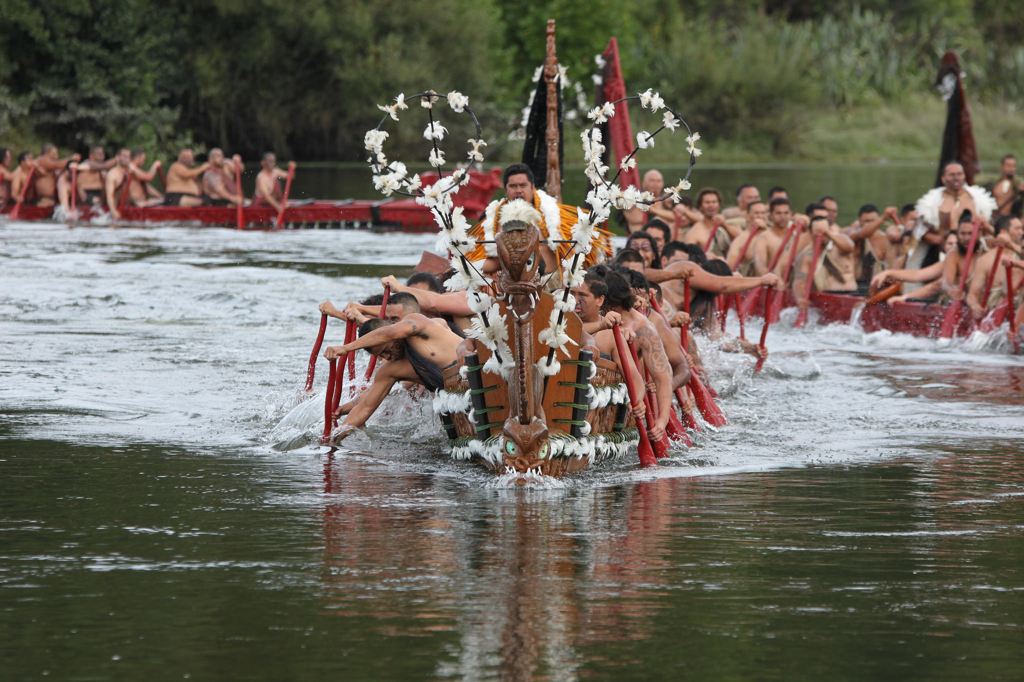 Turangawaewae Regatta.    Source   : Flickr.