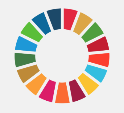 Timely Data for the SDGs, Featuring the launch of the SDSN Data Platform for the SDGs