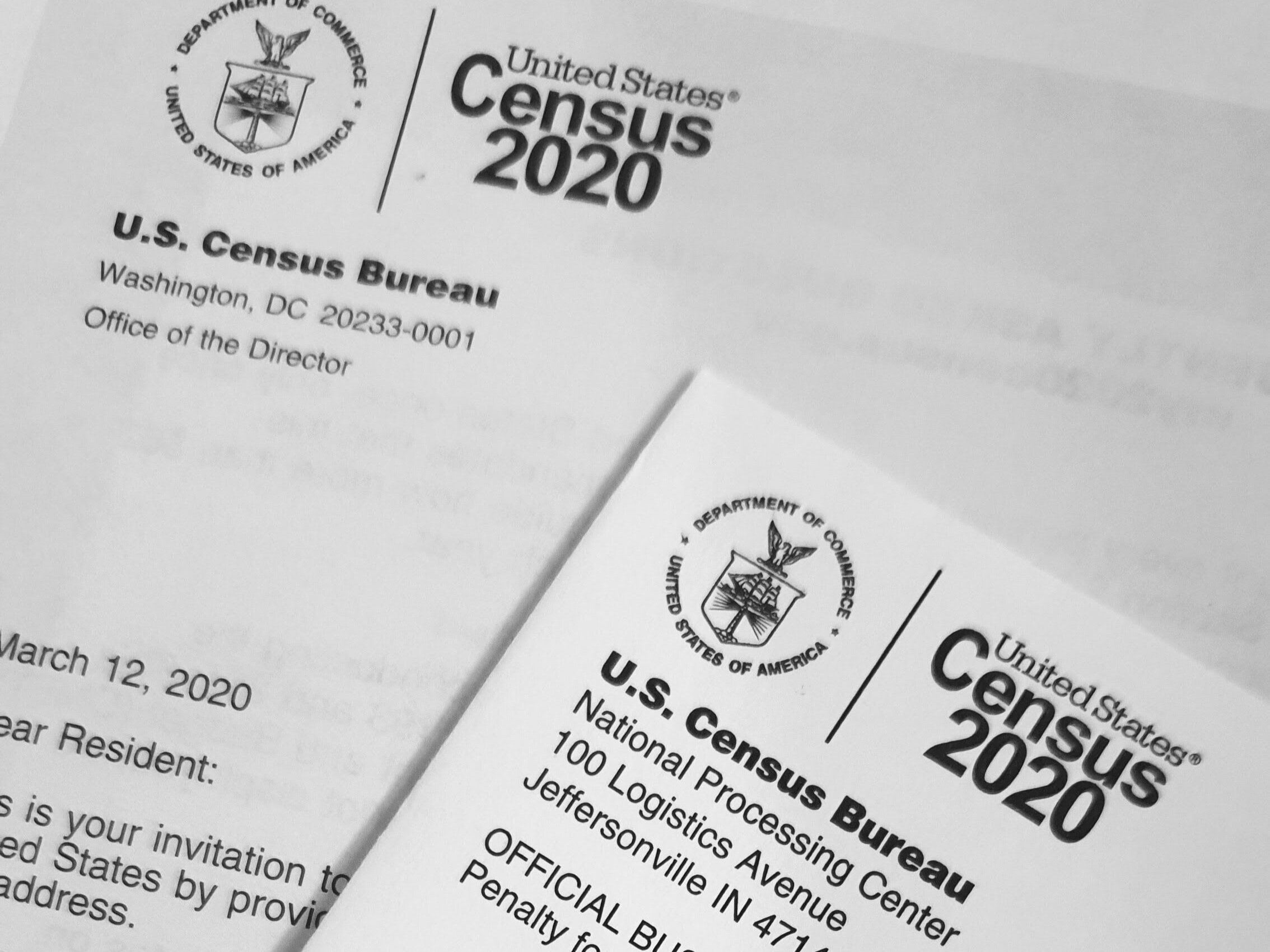 Making Everyone Count: An Examination of the Global Census Undercount Issues of Indigenous Populations 